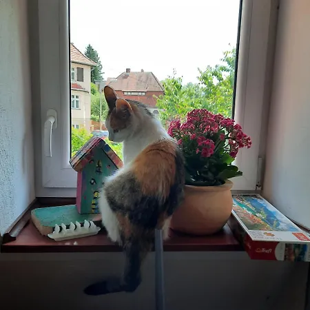 Gościnne U Markusa Kwatera prywatna